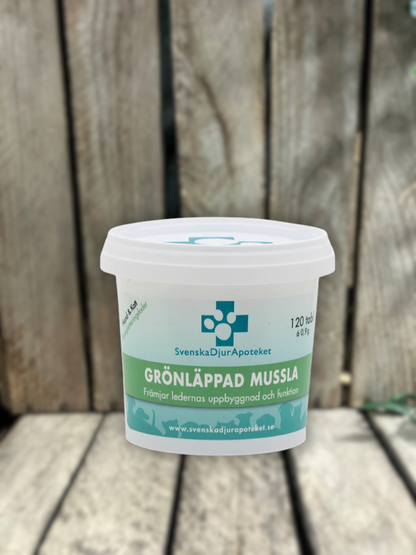 Grönläppad Mussla